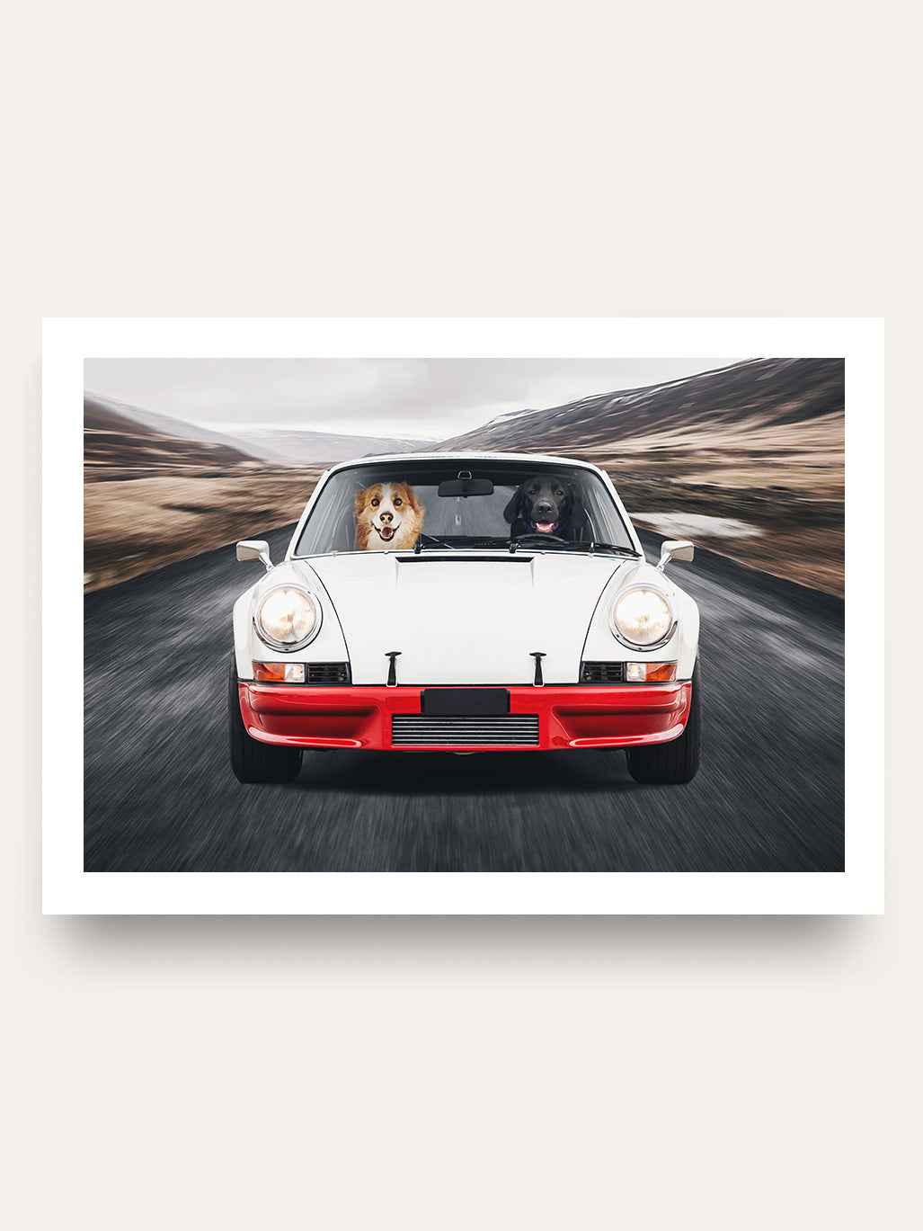 Supercar - Custom Pet Portrait