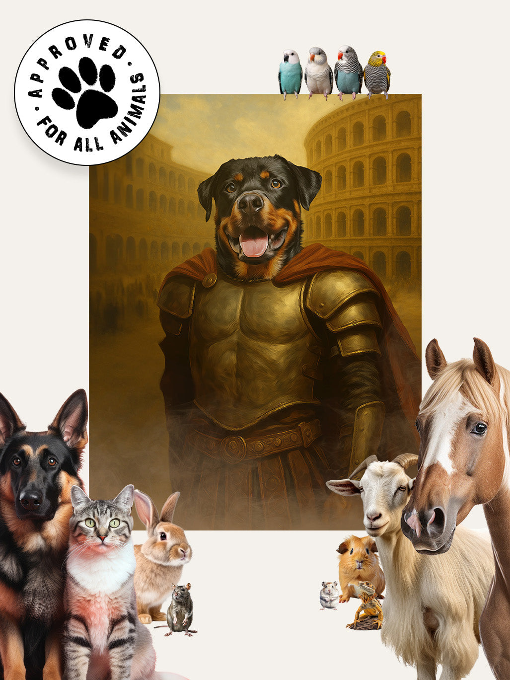 Centurion - Custom Pet Blanket