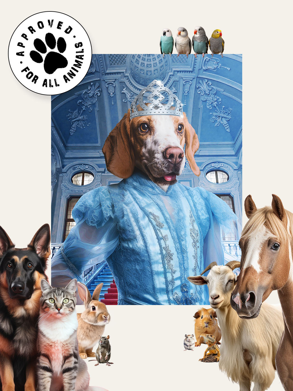 Cinderella - Custom Pet Blanket