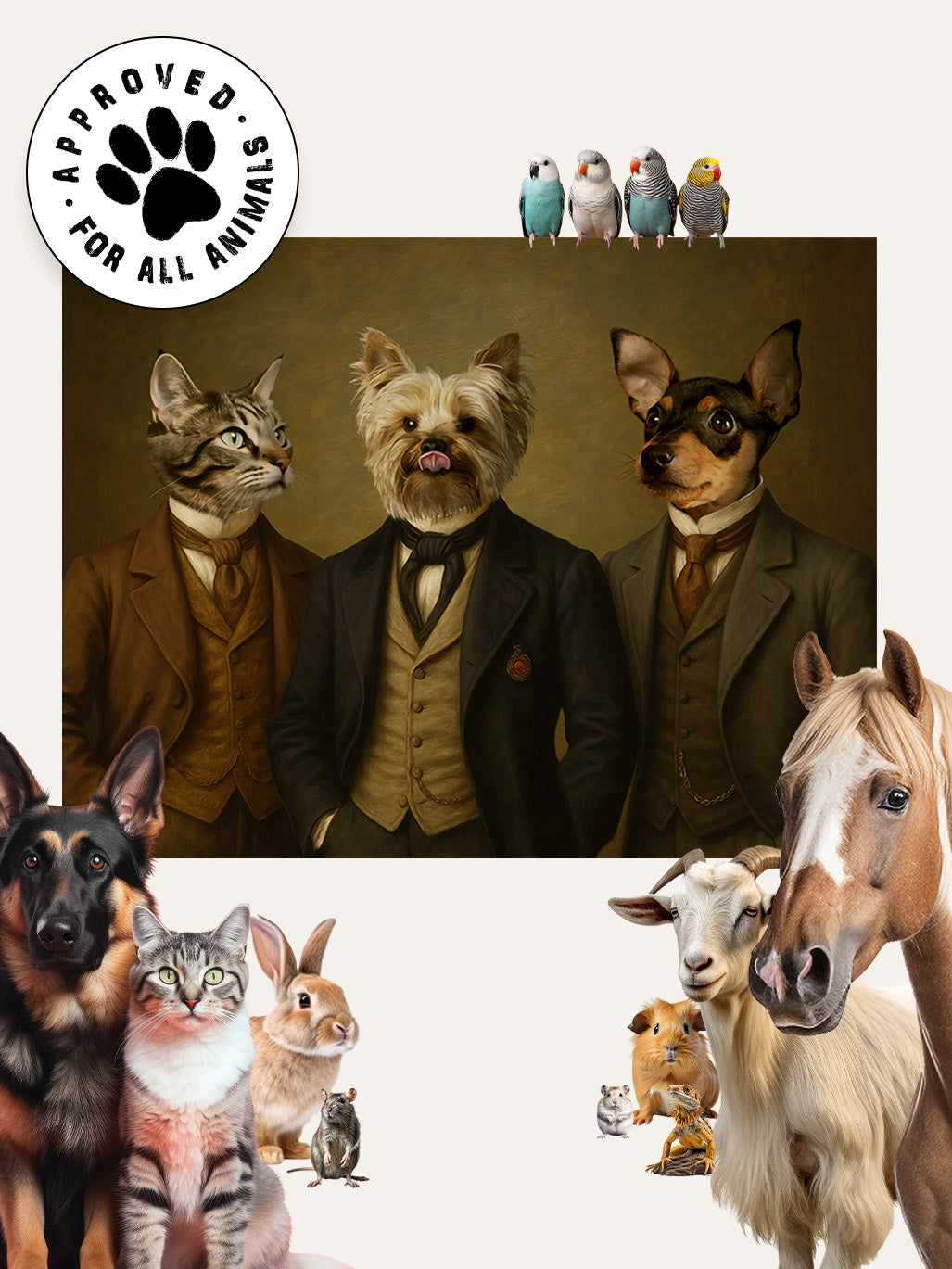 Dapper Gents - Custom Pet Cushion