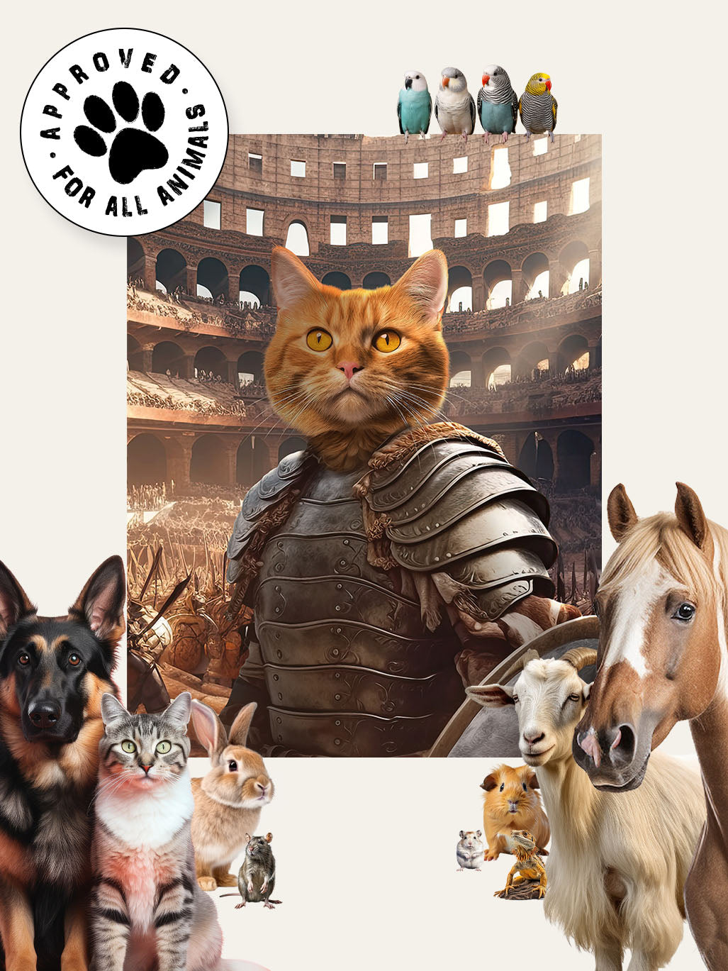 Gladiator - Custom Pet Blanket