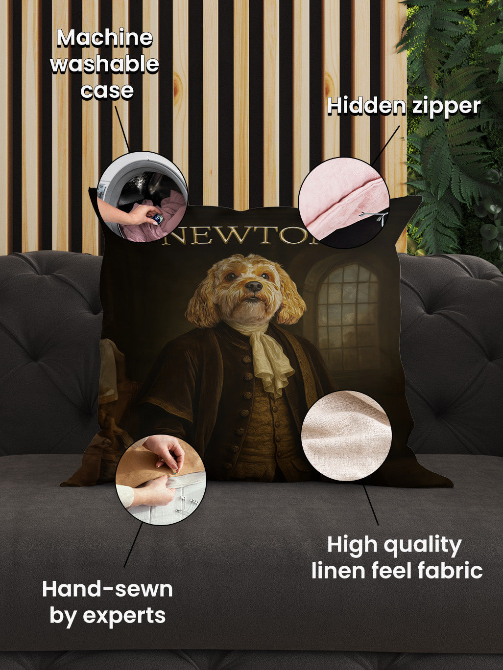 Isaac Newton - Custom Pet Cushion