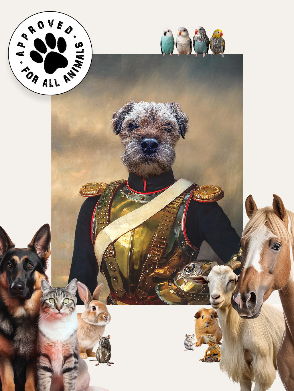 Lieutenant Paws - Custom Pet Blanket