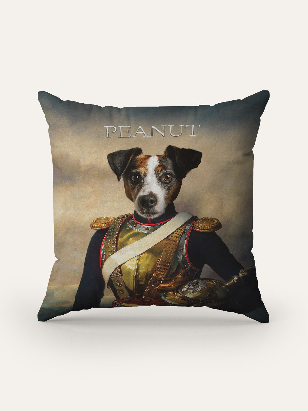 Lieutenant Paws - Custom Pet Cushion