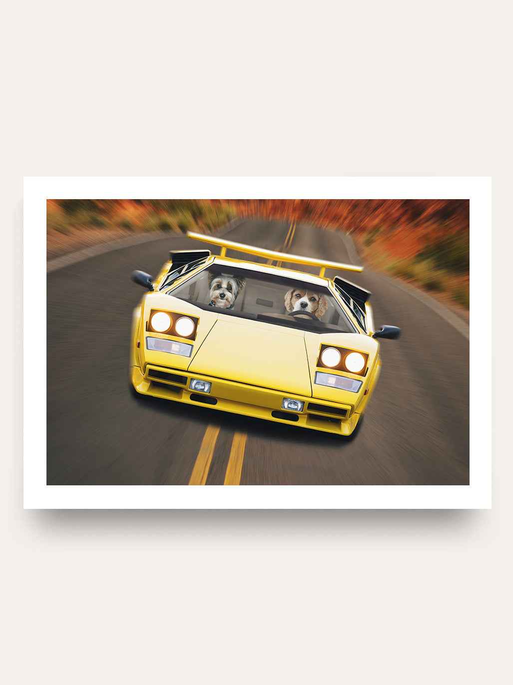 Hypercar - Custom Pet Portrait