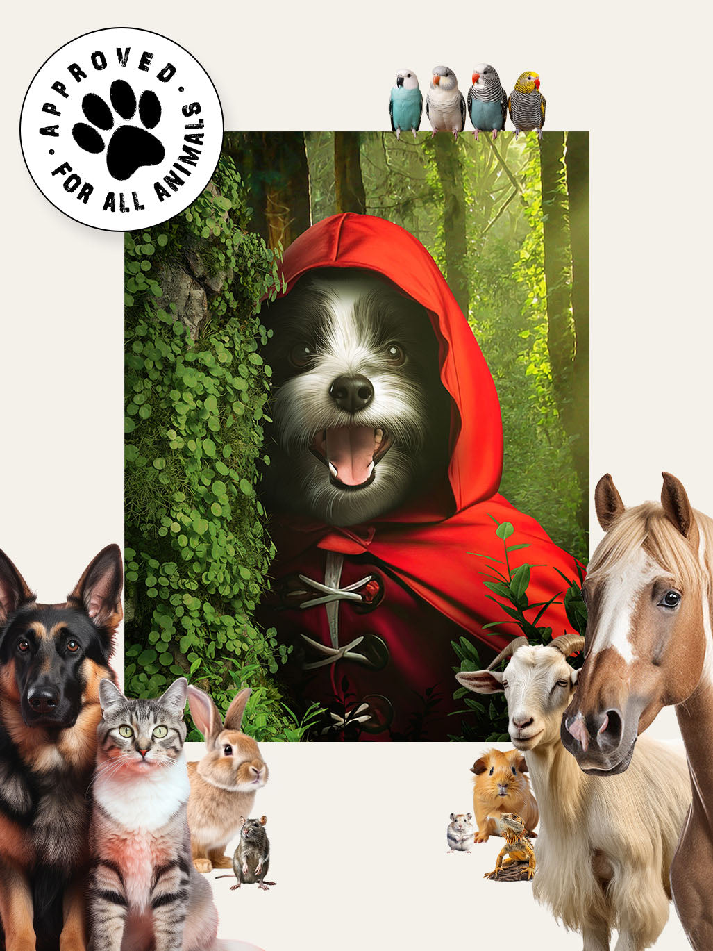 Red Riding Hood - Custom Pet Cushion