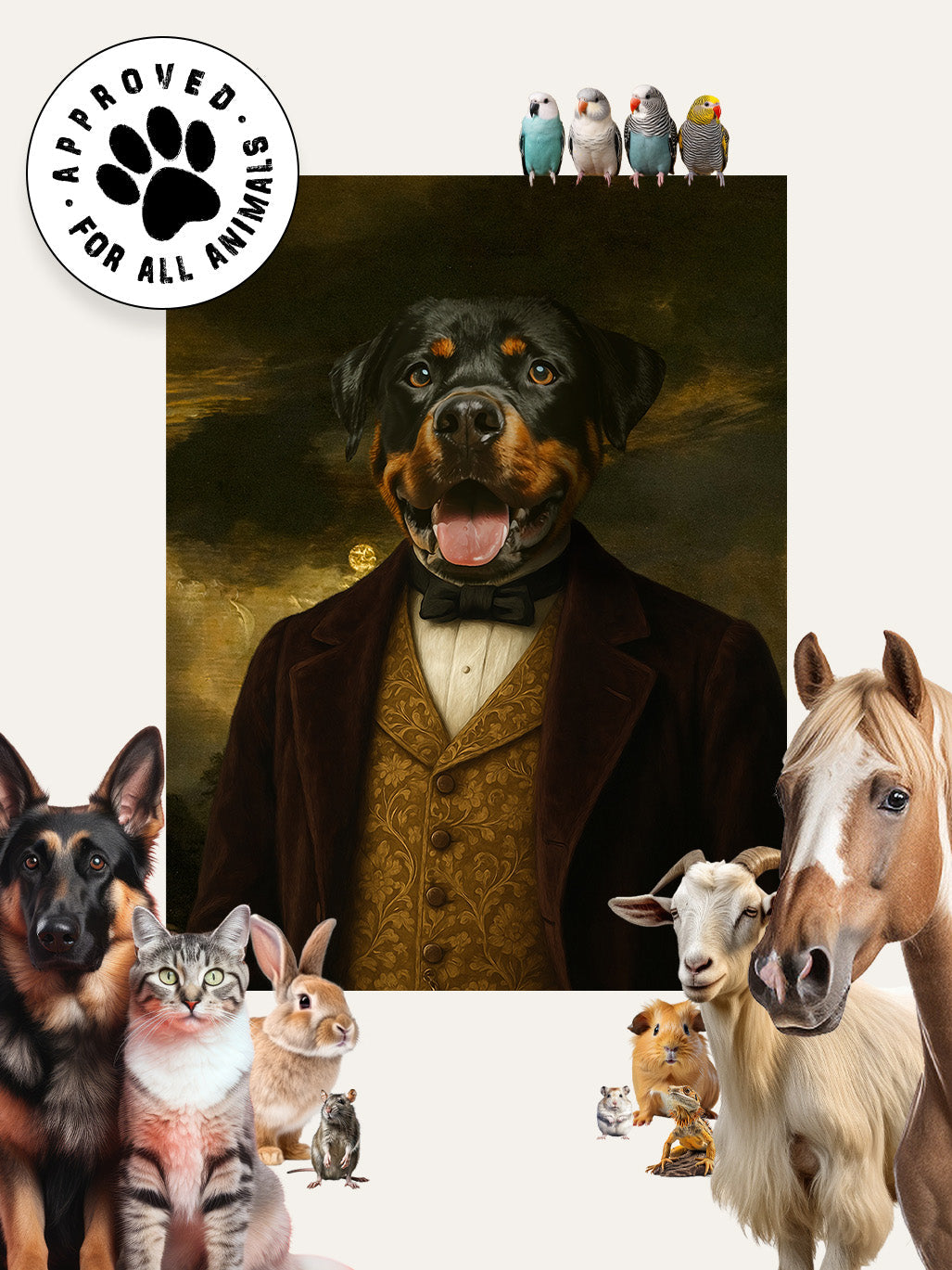 The Engineer - Custom Pet Blanket