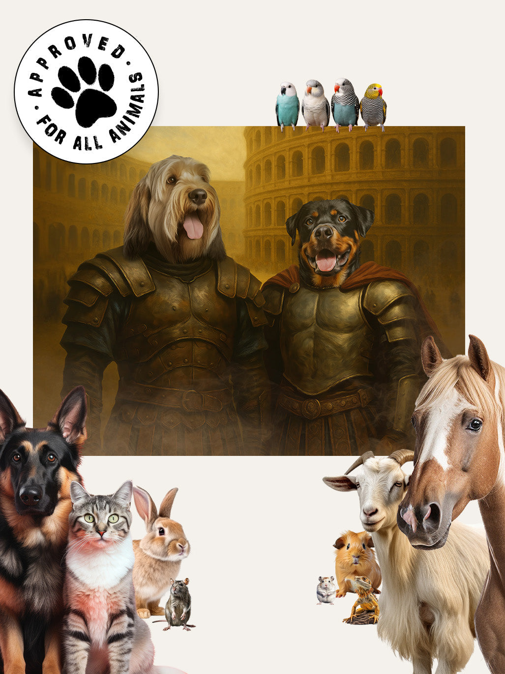 The Gladiators - Custom Pet Cushion