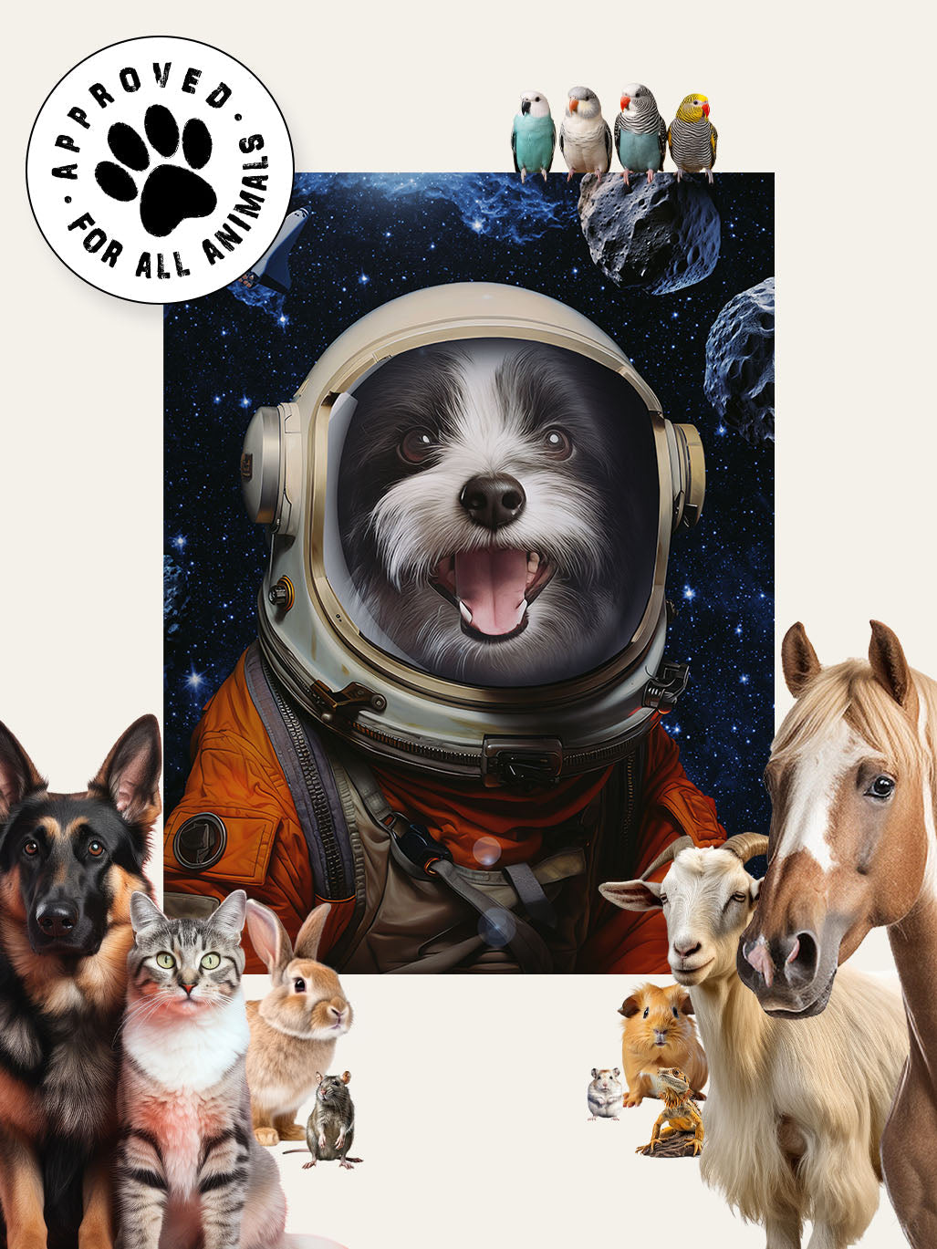 The Spaceman - Custom Pet Blanket