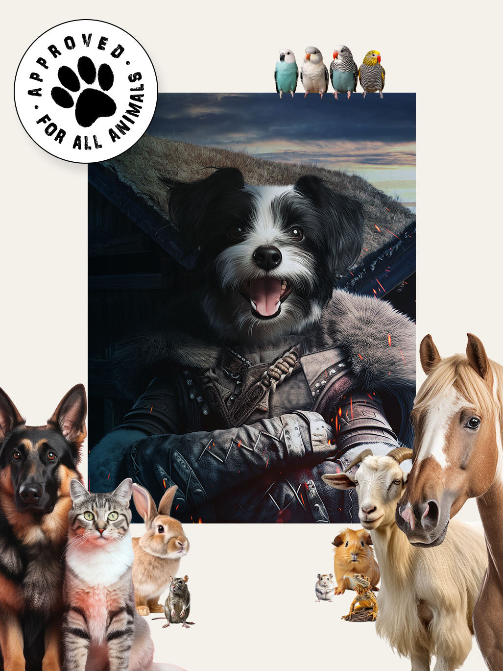 The Viking - Custom Pet Cushion