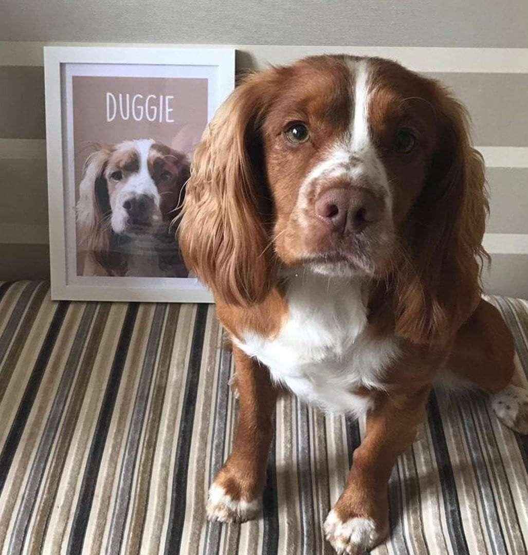 Classic – Custom Pet Canvas