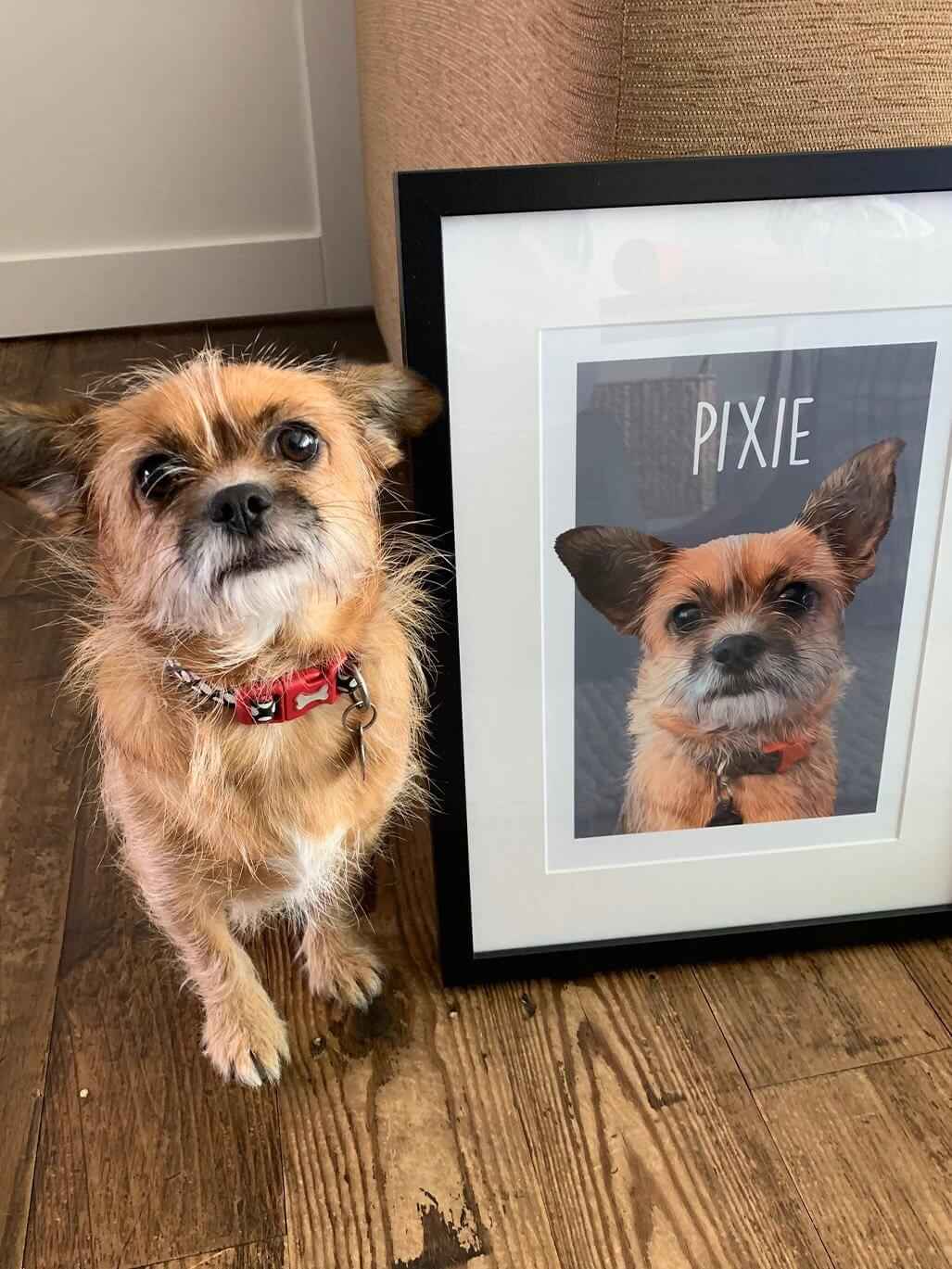 Classic – Custom Pet Canvas