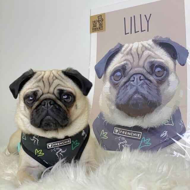 Classic – Custom Pet Canvas