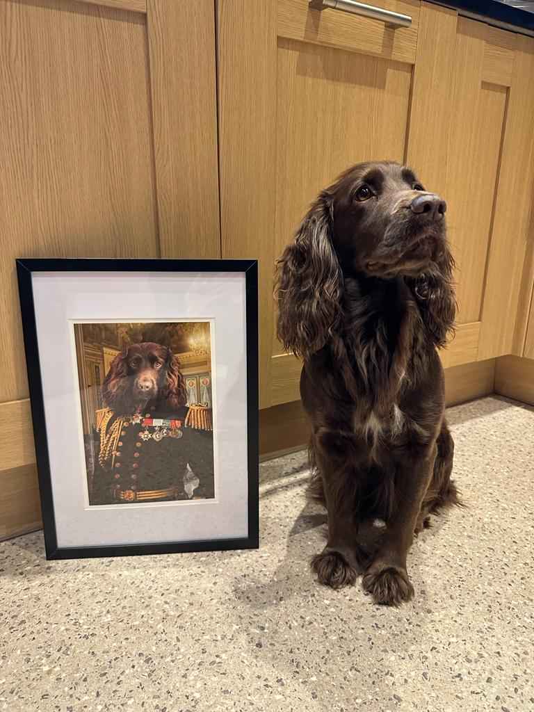 The Earl - Custom Pet Portrait