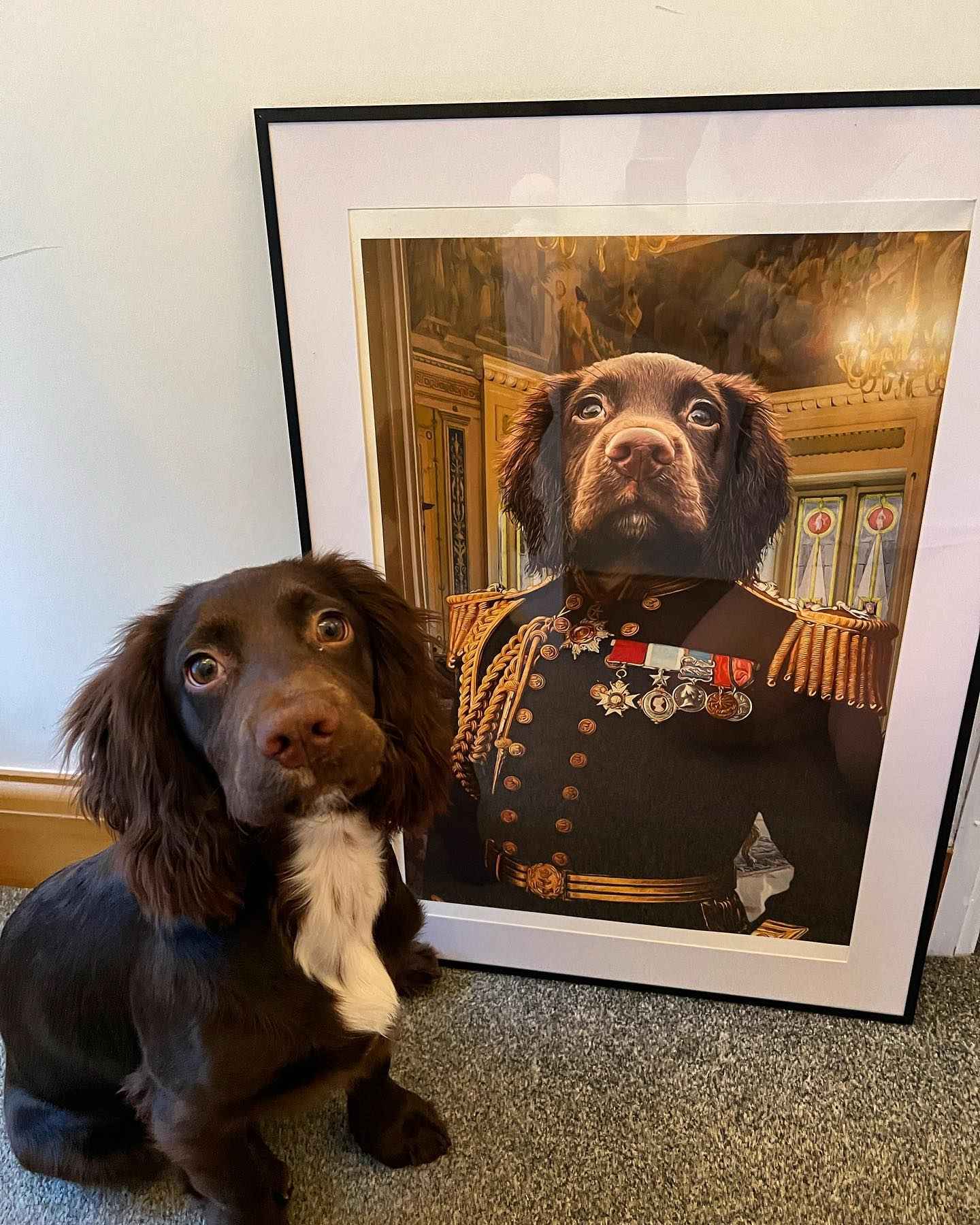 The Earl - Custom Pet Portrait