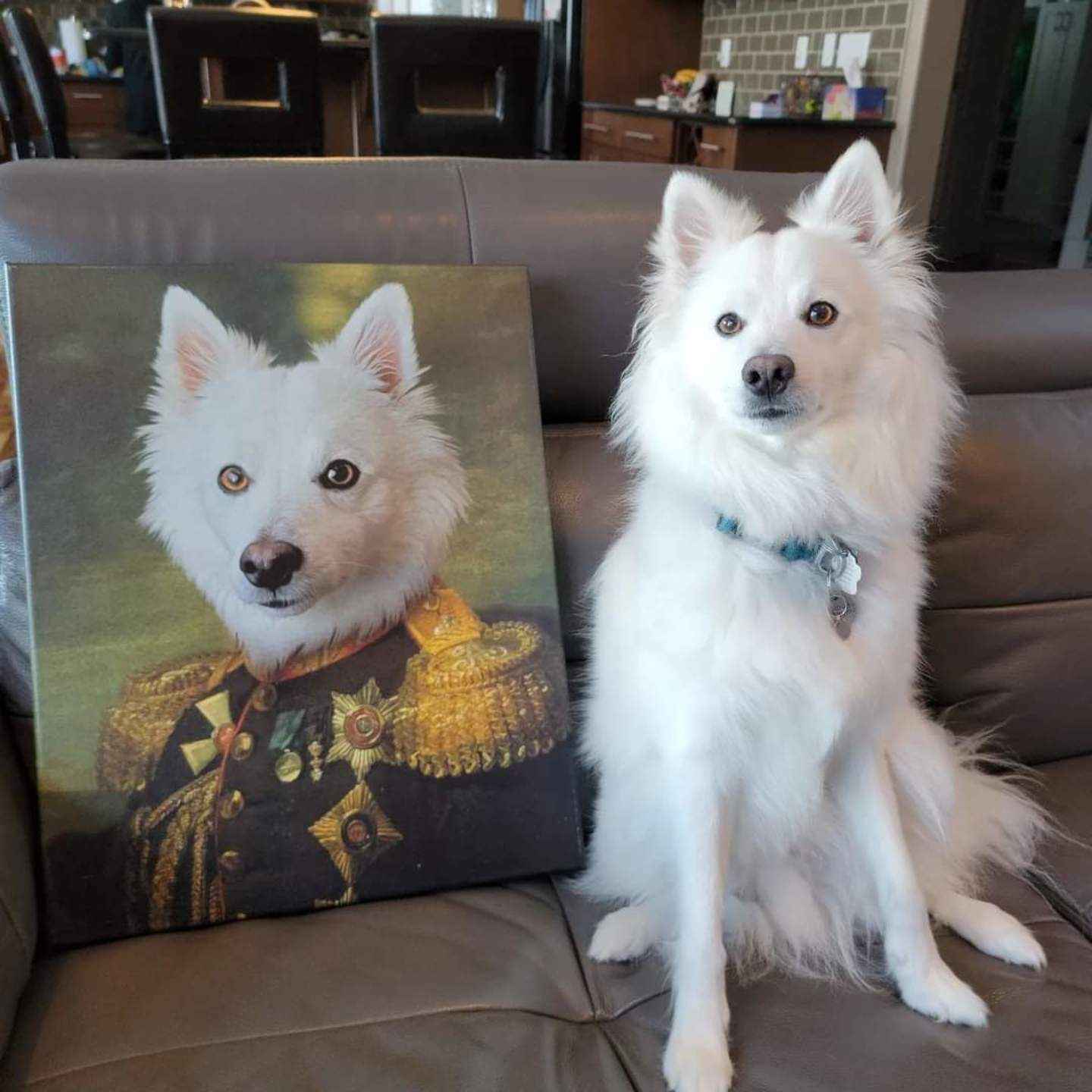 The General – Custom Vintage Pet Canvas