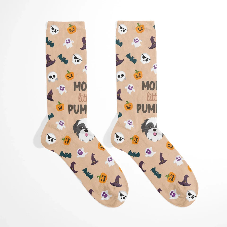 Little Pumpkin Socks with Pet Icon