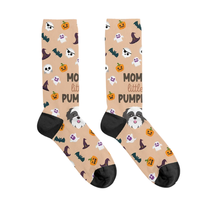 Little Pumpkin Socks with Pet Icon