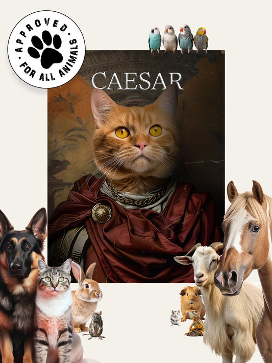 Ceaser - Custom Pet Blanket