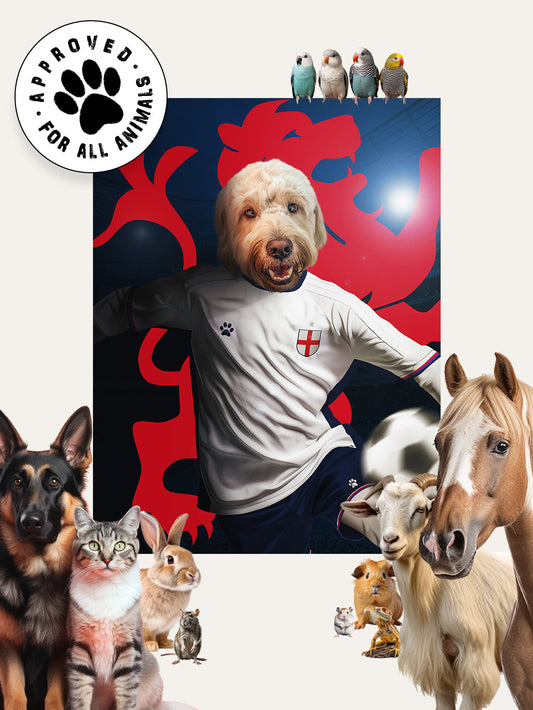 England Player - Custom Pet Cushion