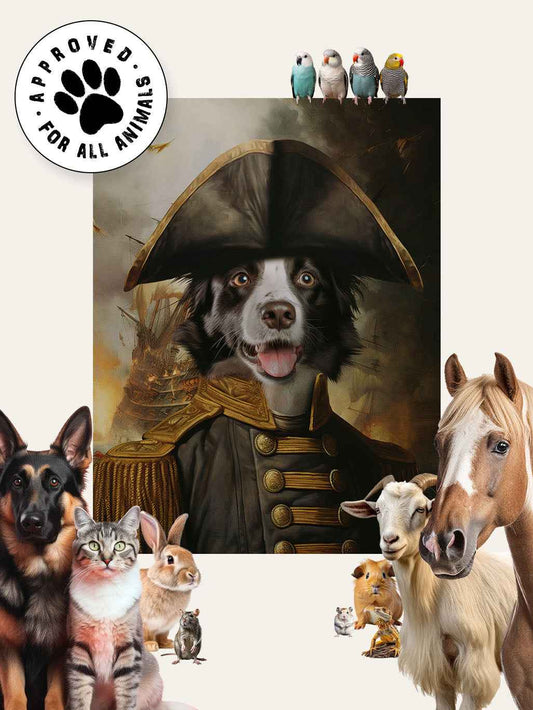 Lord Commander - Custom Pet Blanket