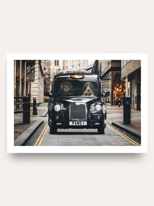 The Cabbie - Custom Pet Portrait