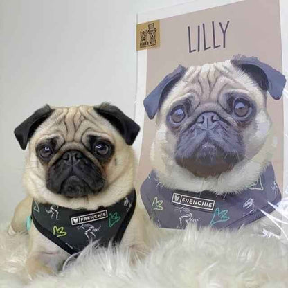 Classic – Custom Pet Canvas