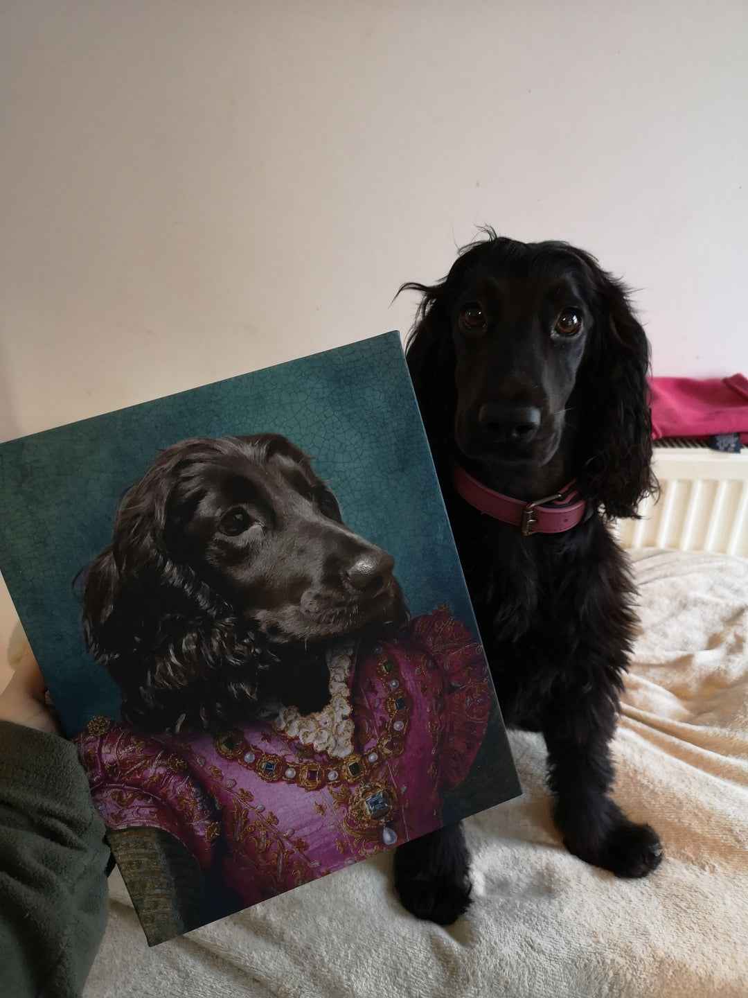 The Countess - Custom Vintage Pet Portrait