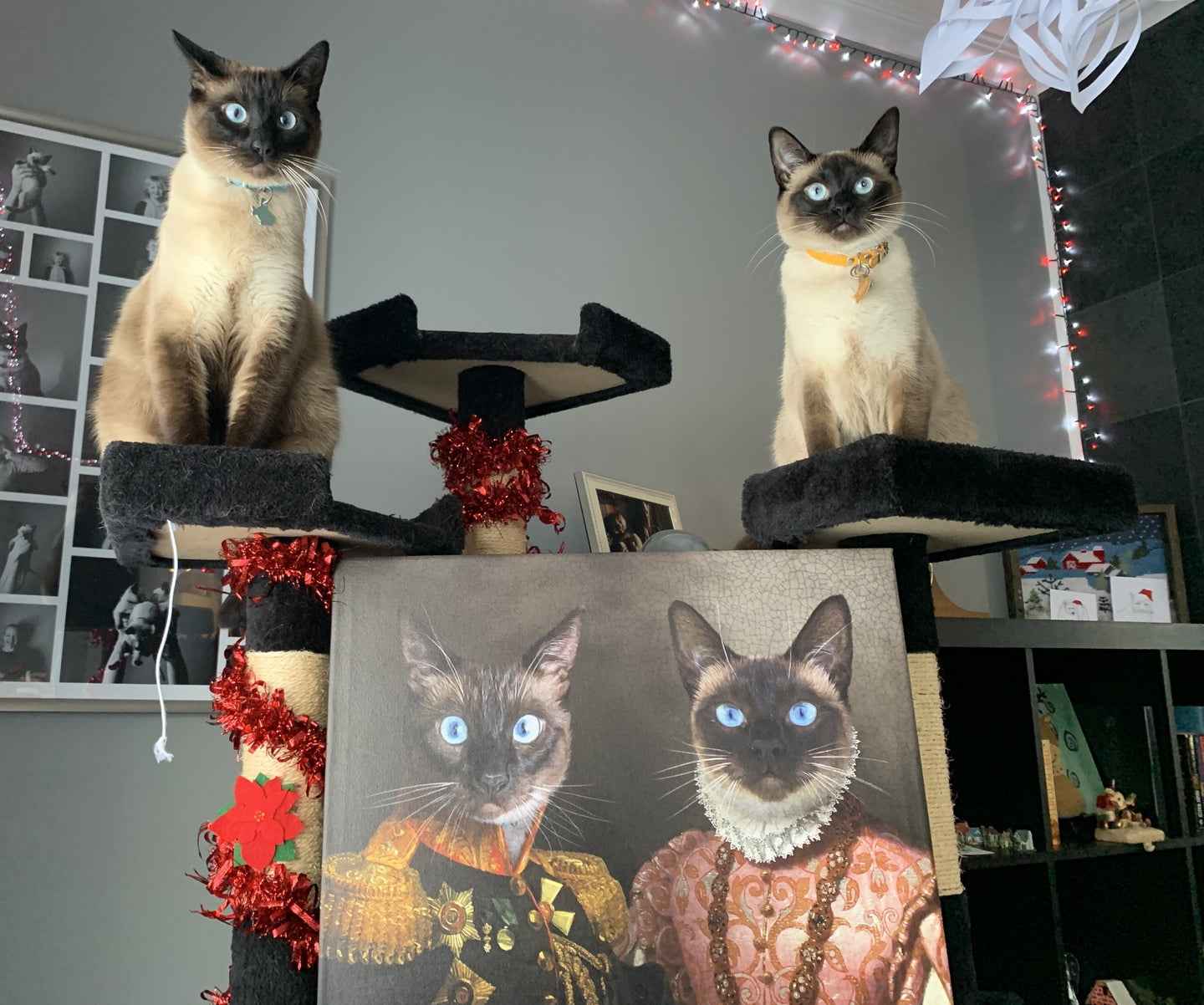The General & The Duchess  – Custom Vintage Pet Portrait